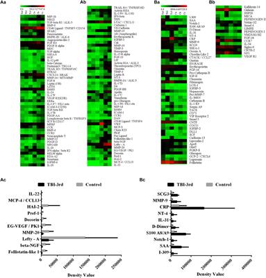 Protein Network Analysis of the Serum and Their Functional Implication in Patients Subjected to Traumatic Brain Injury